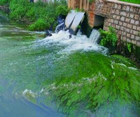 聚合硫酸鐵飲用水除砷